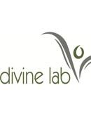 divine