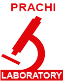 Prachi