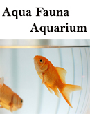 AQUA