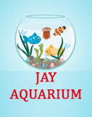 Jay