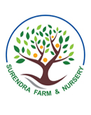 Surendra