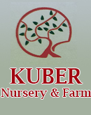 Kuber