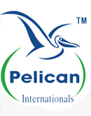 Pelican
